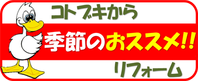 今月のおススメ